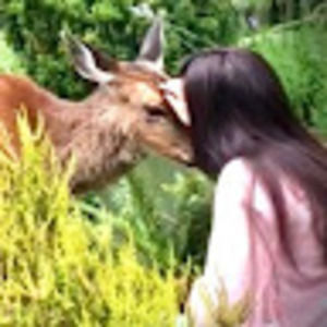 Meet your Posher, Wendy